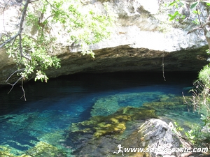 Plongée spéléo? Cenote13
