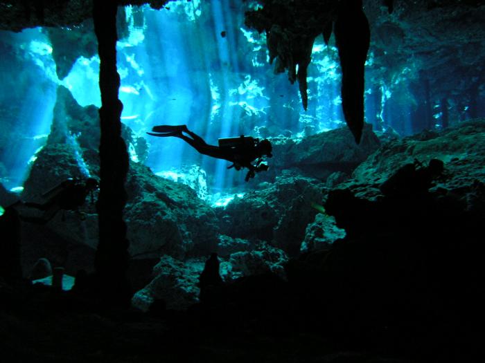 Espace "Découvertes" Cenote16