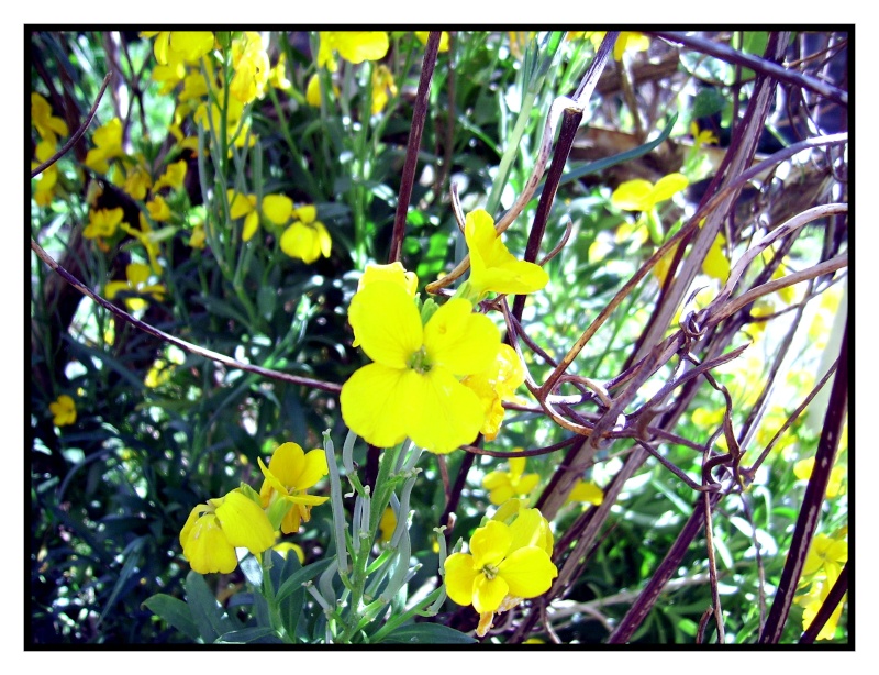 Le "photographe" se réveil ^^ Jaune10