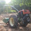 Goldoni serie super 600 Img_1914