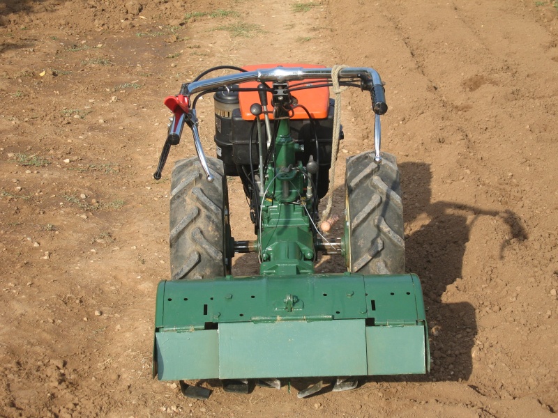 Goldoni serie super 600 Img_1918