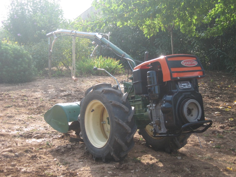 Goldoni serie super 600 Img_1920