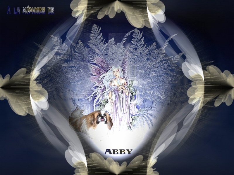 Abby de Luce Abby11