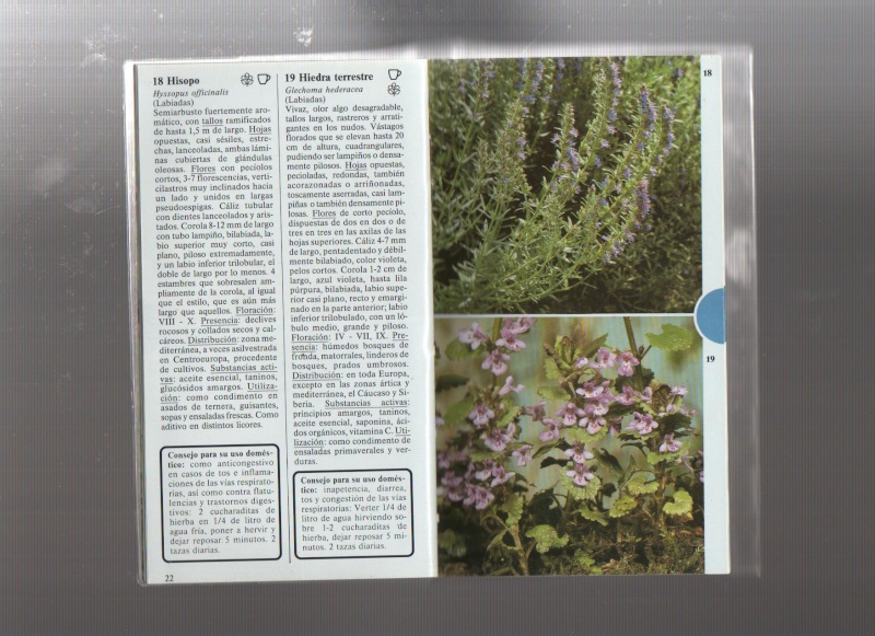 escaneo de paginas --PLANTAS MEDICINALES- 2210