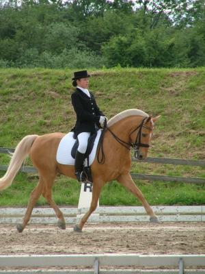SPCIAL PONEYS - levage, discussions, photos, concours ! - Page 7 47375410