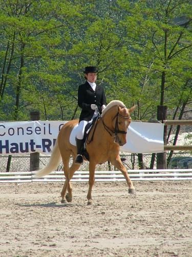 SPCIAL PONEYS - levage, discussions, photos, concours ! - Page 7 Sitdri10