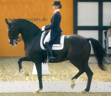 Stages de Dressage avec Pia MUNCK... Bordur10