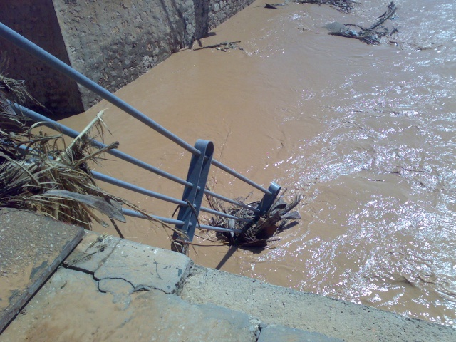 El Hamla  Ghardaia 01102010