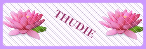 signature thudie 10670-12