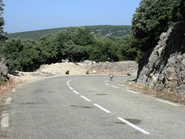 [CR]Séjour obligatoire en ardeche... Dscn2918