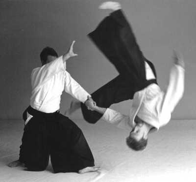 L'expérience du Aïkido vu par "Aïkidoka" Aikido10