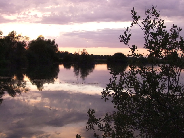 96h de pêche (24h en étang et 72h en rivière 2 secteurs ) Dscf6523