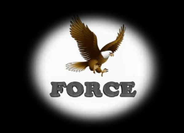 FORCE logo Logone11