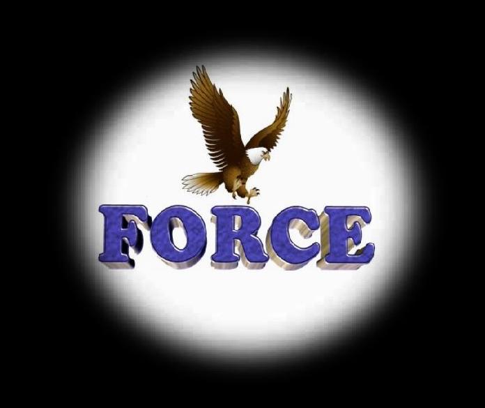 FORCE logo Logone13