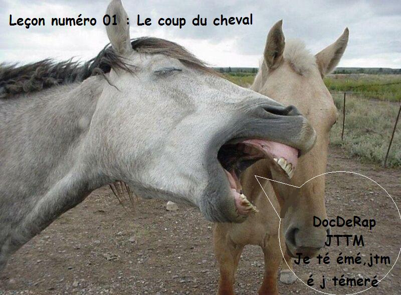 MISTER PHARMEDENT ~LE CONCOURS~ - Page 3 Cheval10