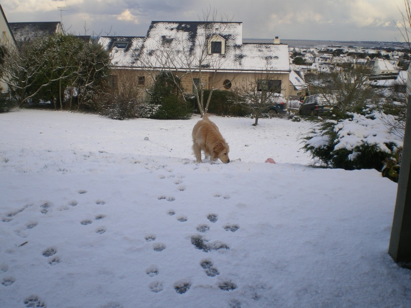 Neige et froid  0° chez moi a Cannes06 Imgp2411