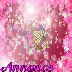 Version 1: papillons Annonc10