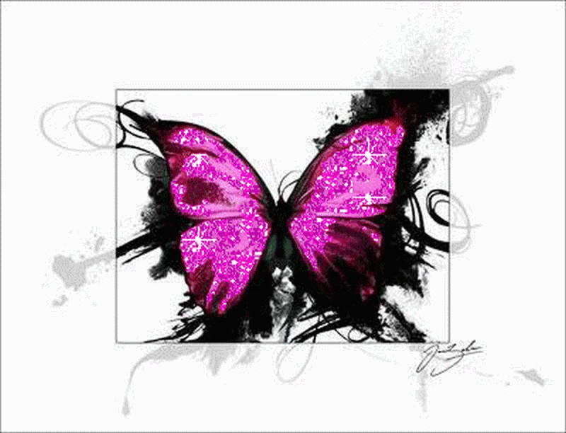 Version 1: papillons Header10