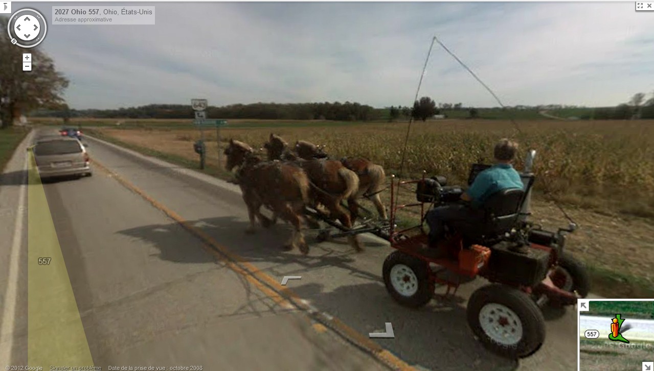 postez ici toutes les photos insolites de Google Street View Cheval10