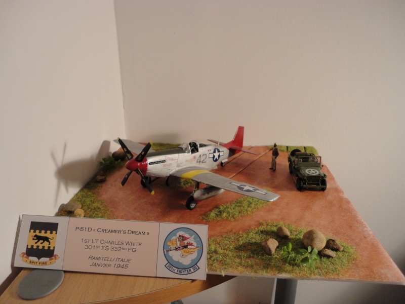 P-51D Mustang Tuskegee's airmen 1/48 Tamiya Dsc02110