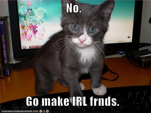 LOLcats pwn you. - Page 2 Funny-10