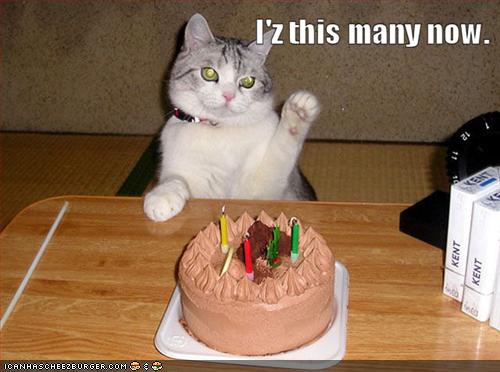 LOLcats pwn you. - Page 3 Funny-14