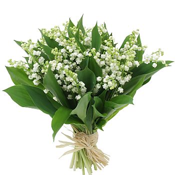 BONNE FÊTE DU 1er MAI Muguet10