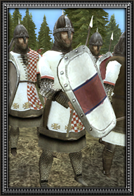 Test de mod pour Medieval II Total War par Derva Irish_12