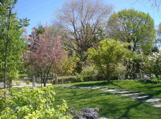 Jardin Botanique du Parc Borély Cimg1328