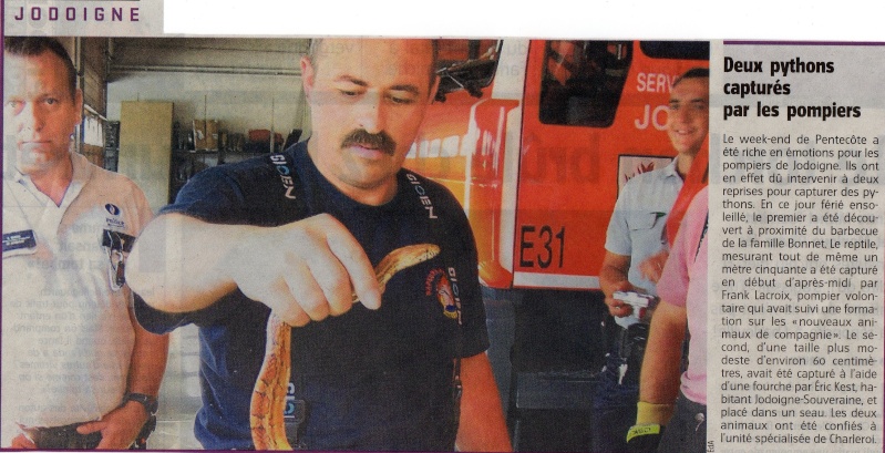 Intervention des pompiers en Belgique Img01210