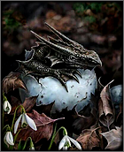 Créatures