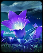 Plantes