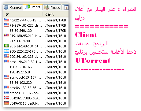 TORRENT ..  -   +   UTorrent Sshot-17