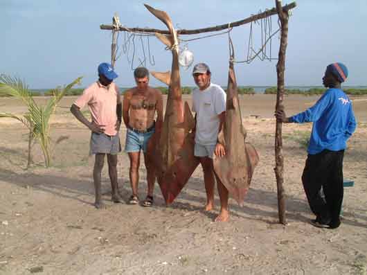 Photos: Souvenirs d'Afrique de pêche et de plaisir 00710