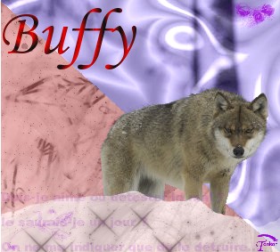Buffy Buf10
