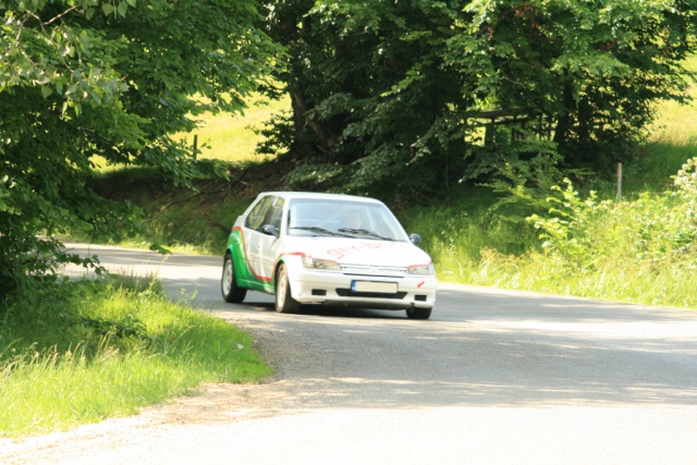peugeot - Peugeot 306 rallye Img_0515