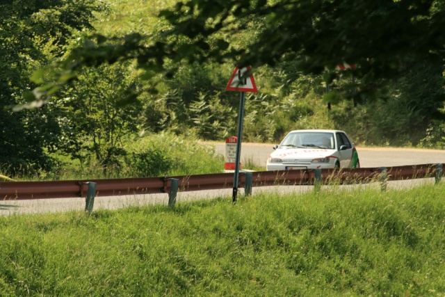 peugeot - Peugeot 306 rallye Img_0516