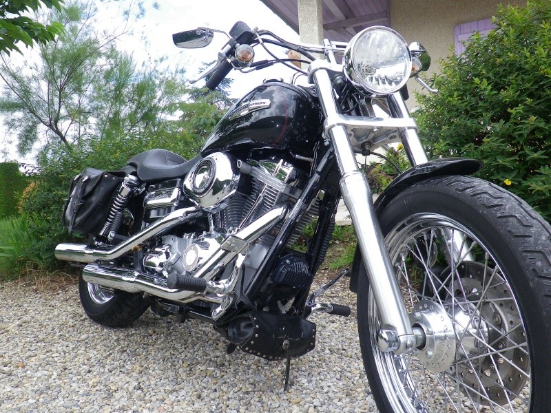 DYNA SUPER GLIDE CUSTOM combien sommes nous ?? - Page 26 Face10