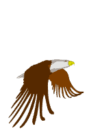   Eagle10