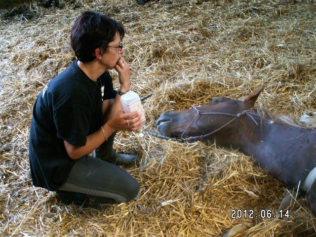 GASTON SAUVE BERTILLE replacé chez Kaki24800 - Page 6 Pict3210