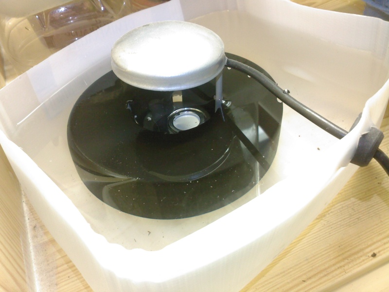 comment augmenter l'humidité dans un terrarium Spm_a013