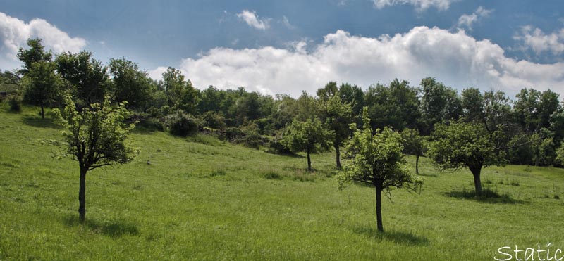 la haut sur la colline Mirabe10