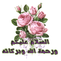 القواعد الذهبية لحفظ القرآن 5114