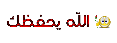 فضل اخر 3 ايات من سورة الحشر 15751611