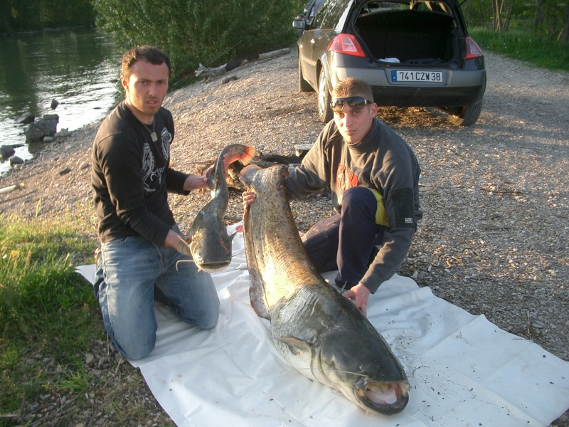 peche du matin ... et du soir ....belle journée 1m89_e11