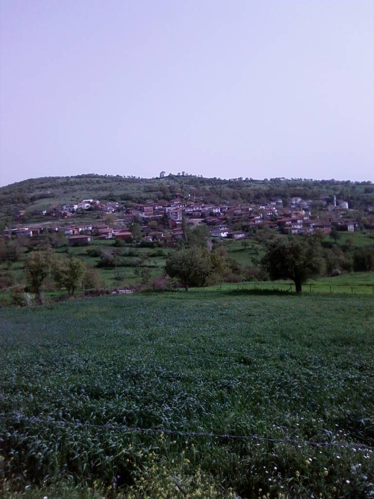 İLYASAĞA ÇİFTLİĞİ KÖYÜ/ÇAN / ÇANAKKALE Foto2819
