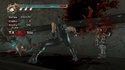 [Xbox360] ~ Ninja Gaiden 2 ~ Ninjag13