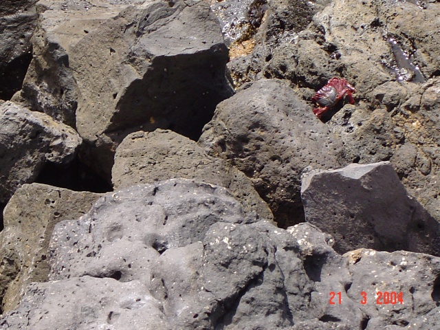 Lanzarote, une île à découvrir Lanzar77