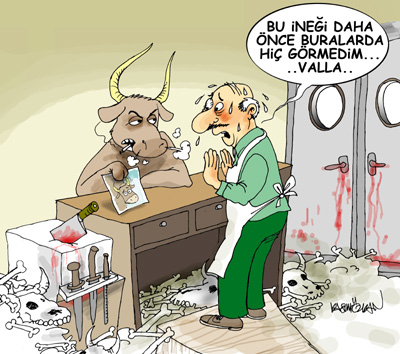 karikaturler 8 29052010