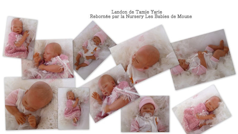 Les Babies de Moune Landon10